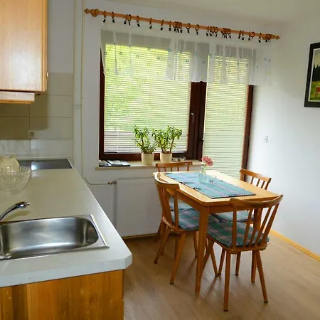 Apartament Apartmaji Rabic Bohinj